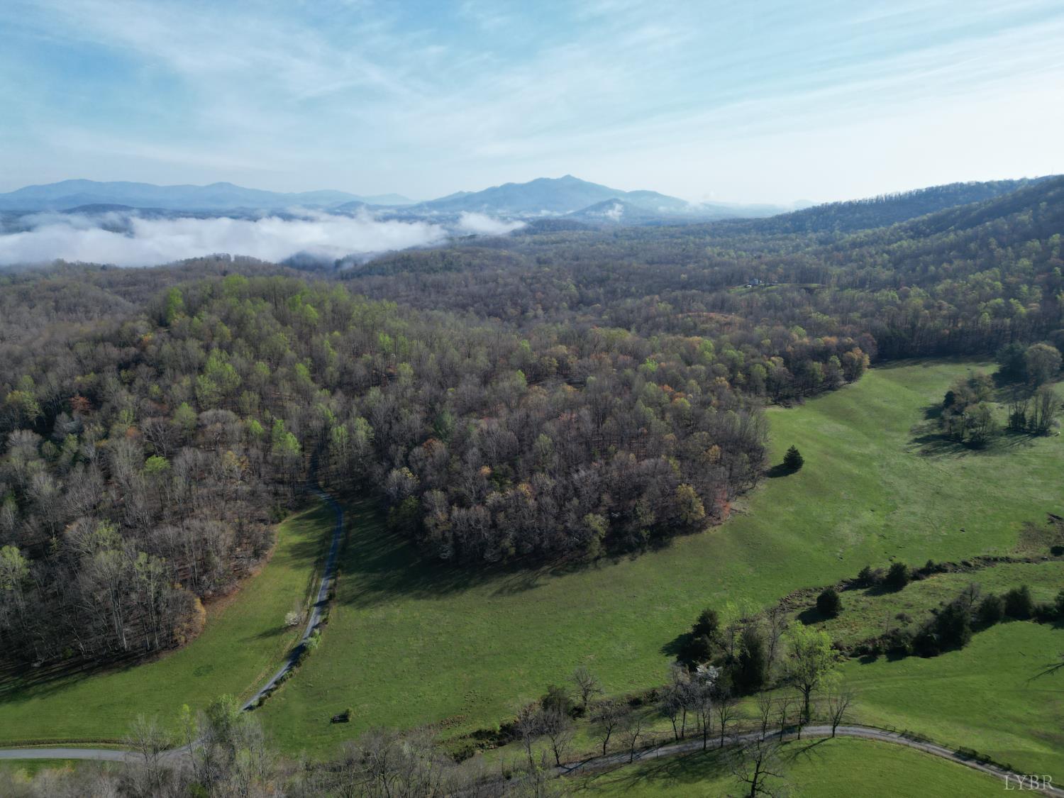 1378 Cove Creek Farm Road Coleman Falls, VA 24536 - Photo 9 of 20 an aerial view of green landscape with trees houses and mountain view