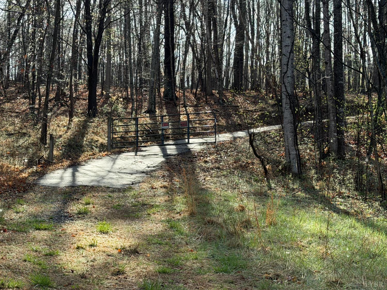 1378 Cove Creek Farm Road Coleman Falls, VA 24536 - Photo 10 of 20 a view of yard