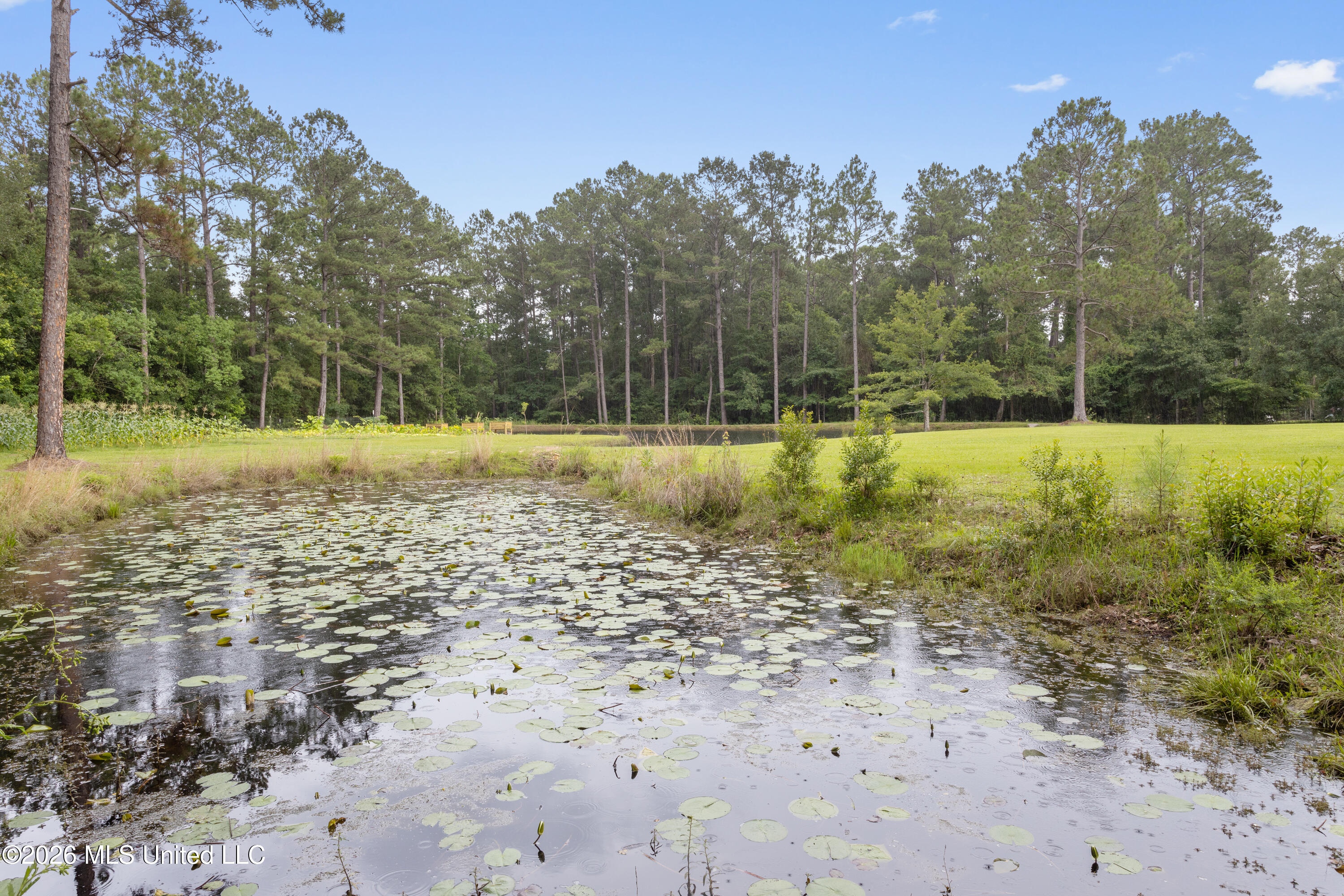11208 Hillside Hollow Road Vancleave, MS 39565 - Photo 41 of 67 00042