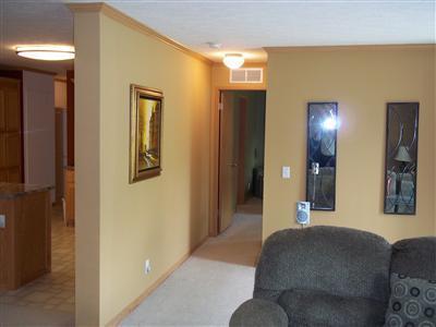 83294 47th Street Decatur, MI 49045 - Photo 4 of 20 Additional Photo