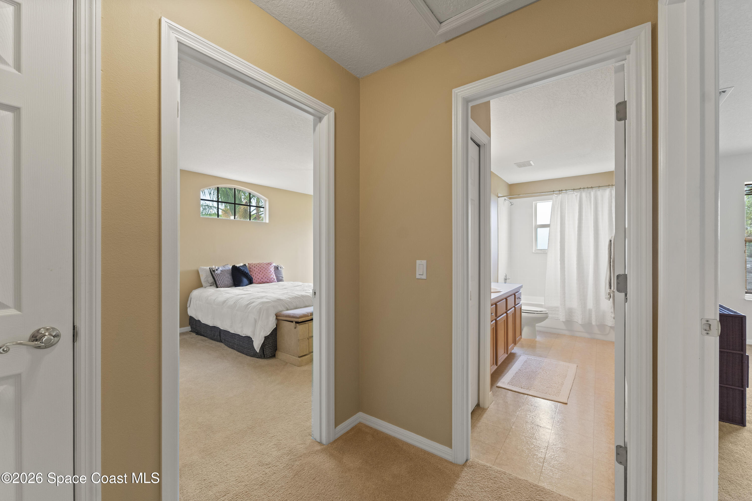 385 Tunbridge Drive Rockledge, FL 32955 - Photo 37 of 49 DSC07892_1