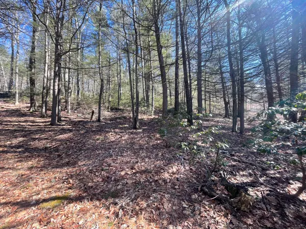 a view of outdoor space with lots of trees