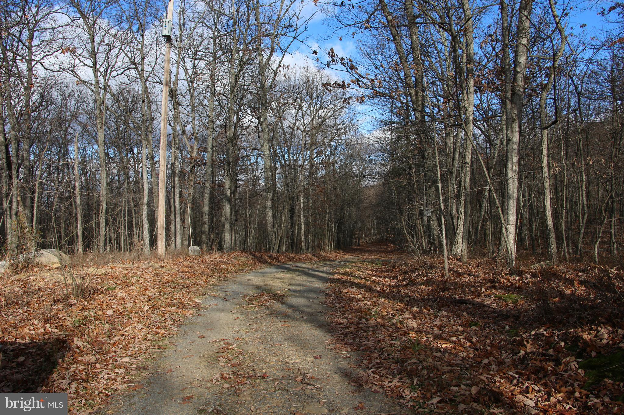 Forest Lane Gore, VA 22637 - Photo 2 of 16