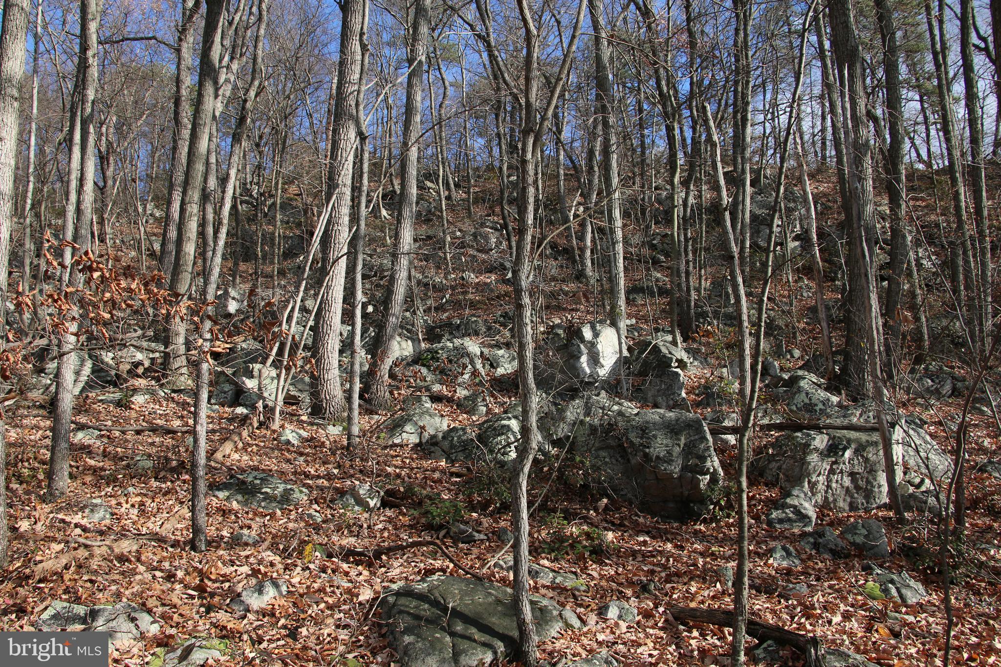 Forest Lane Gore, VA 22637 - Photo 11 of 16