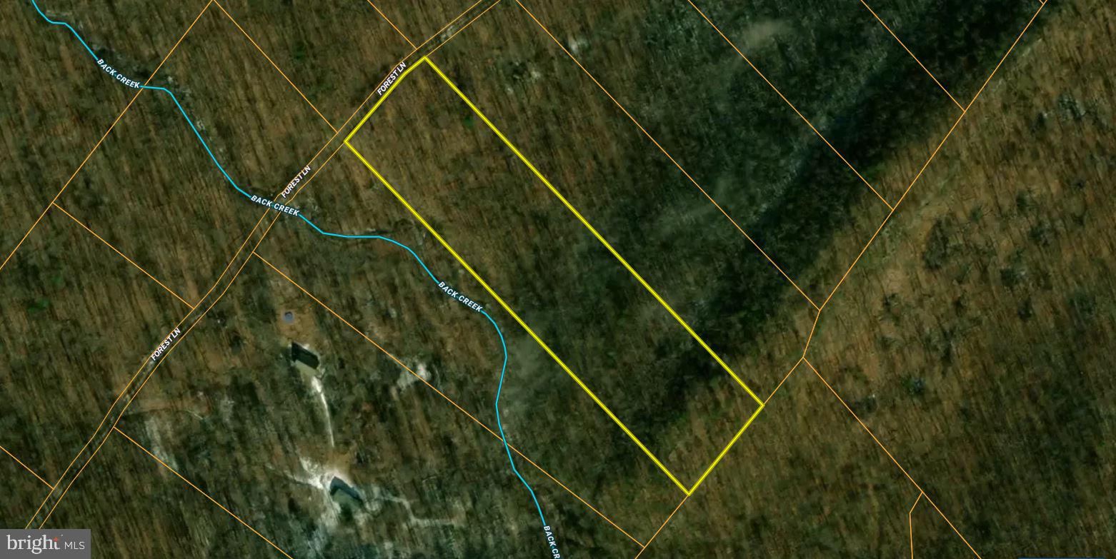 Forest Lane Gore, VA 22637 - Photo 13 of 16