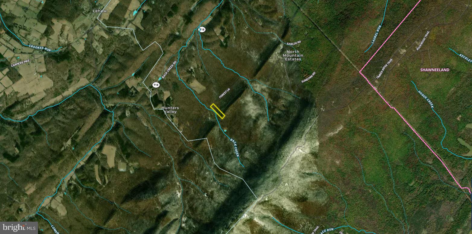 Forest Lane Gore, VA 22637 - Photo 14 of 16