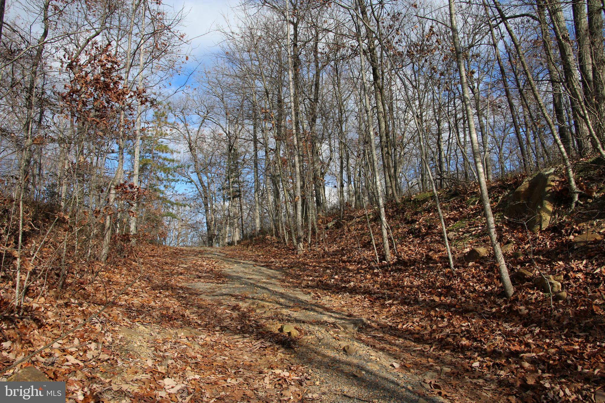 Forest Lane Gore, VA 22637 - Photo 4 of 16