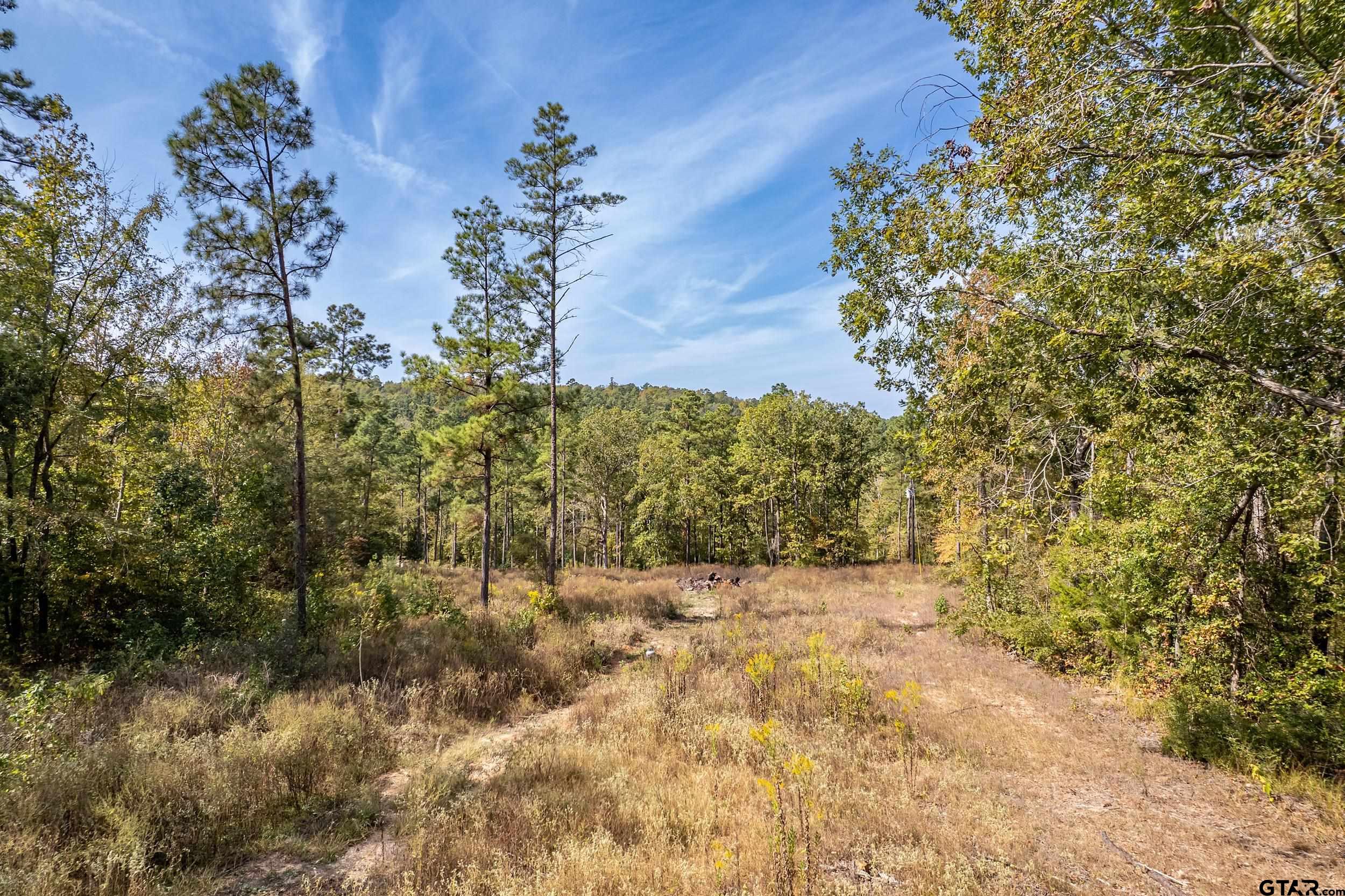 1305 Jackson Drive Rusk, TX 75785 - Photo 12 of 21 a view of a yard with a tree