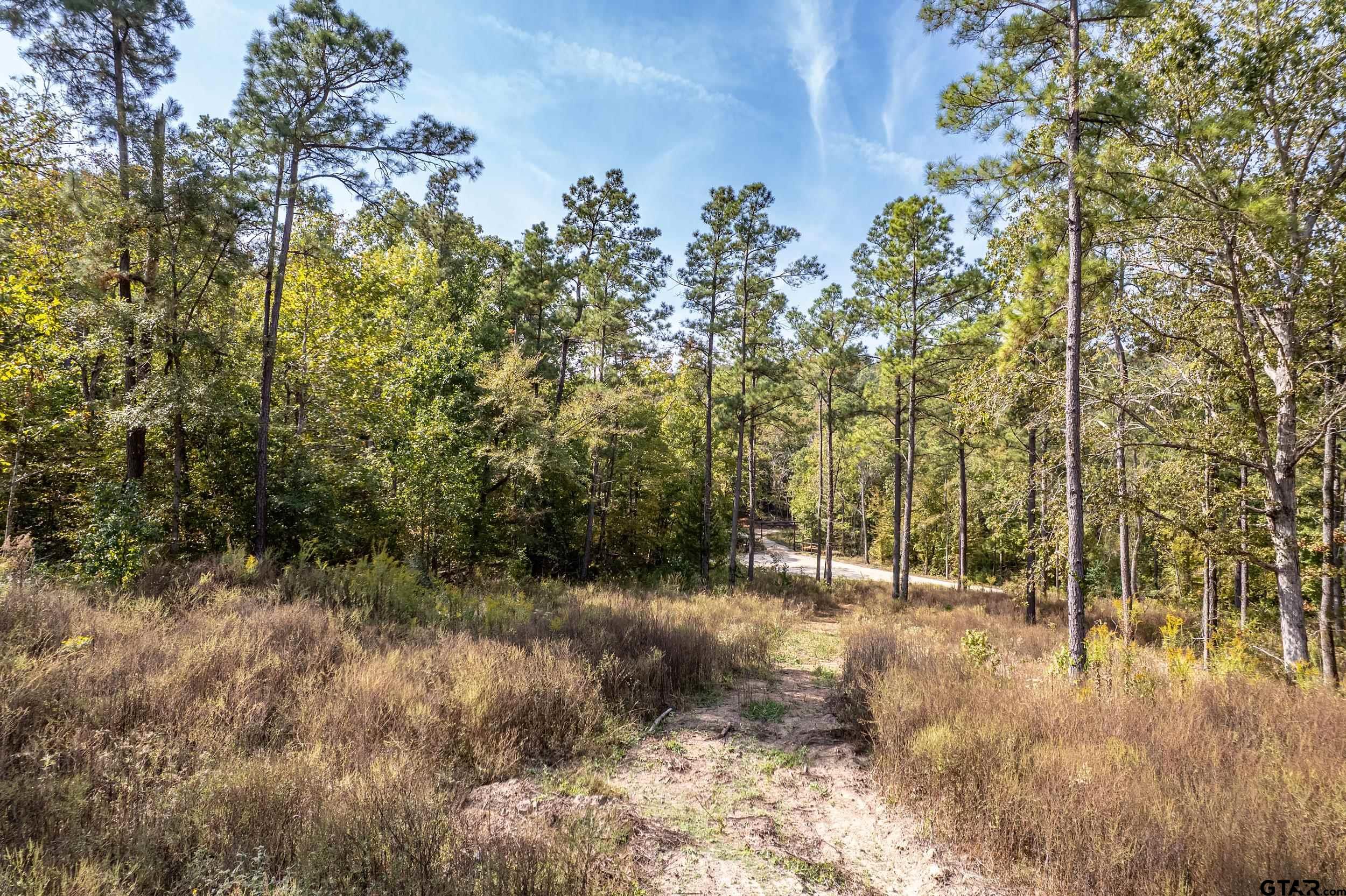 1305 Jackson Drive Rusk, TX 75785 - Photo 13 of 21 a view of a yard with a tree