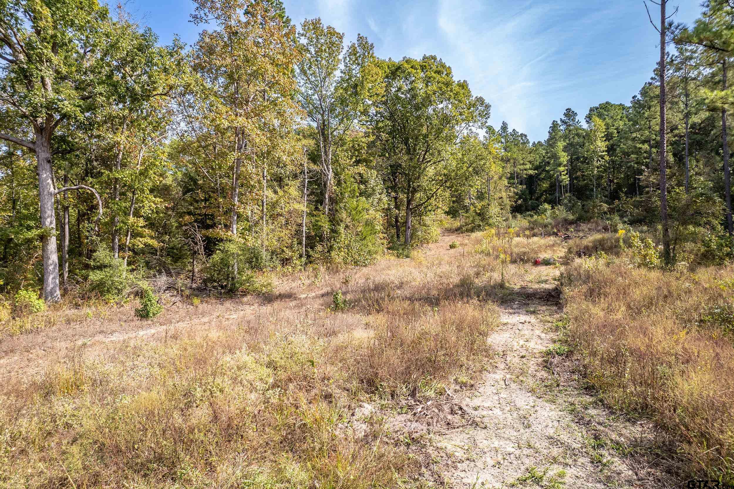 1305 Jackson Drive Rusk, TX 75785 - Photo 14 of 21 a view of a yard covered in snow