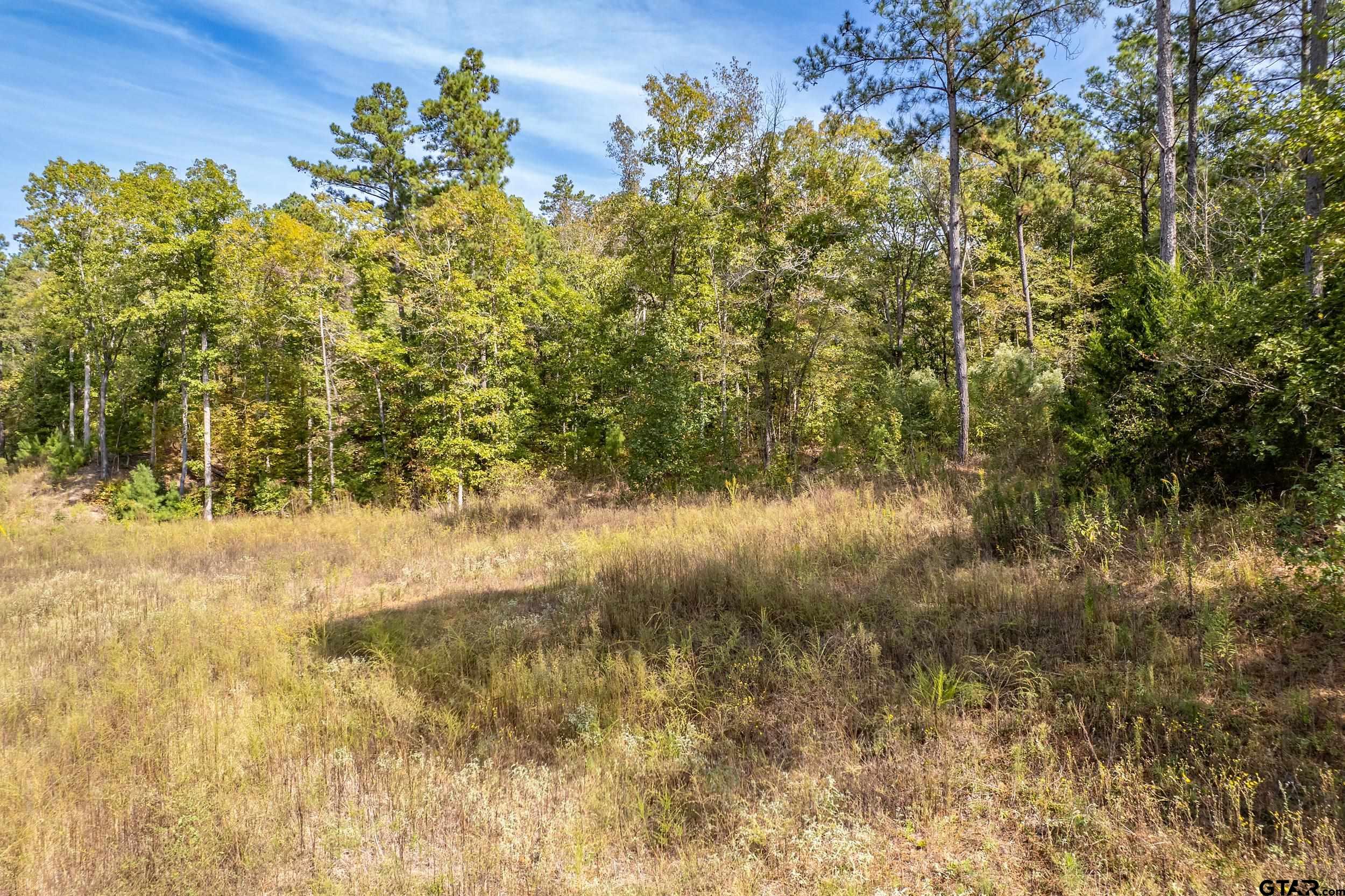 1305 Jackson Drive Rusk, TX 75785 - Photo 15 of 21