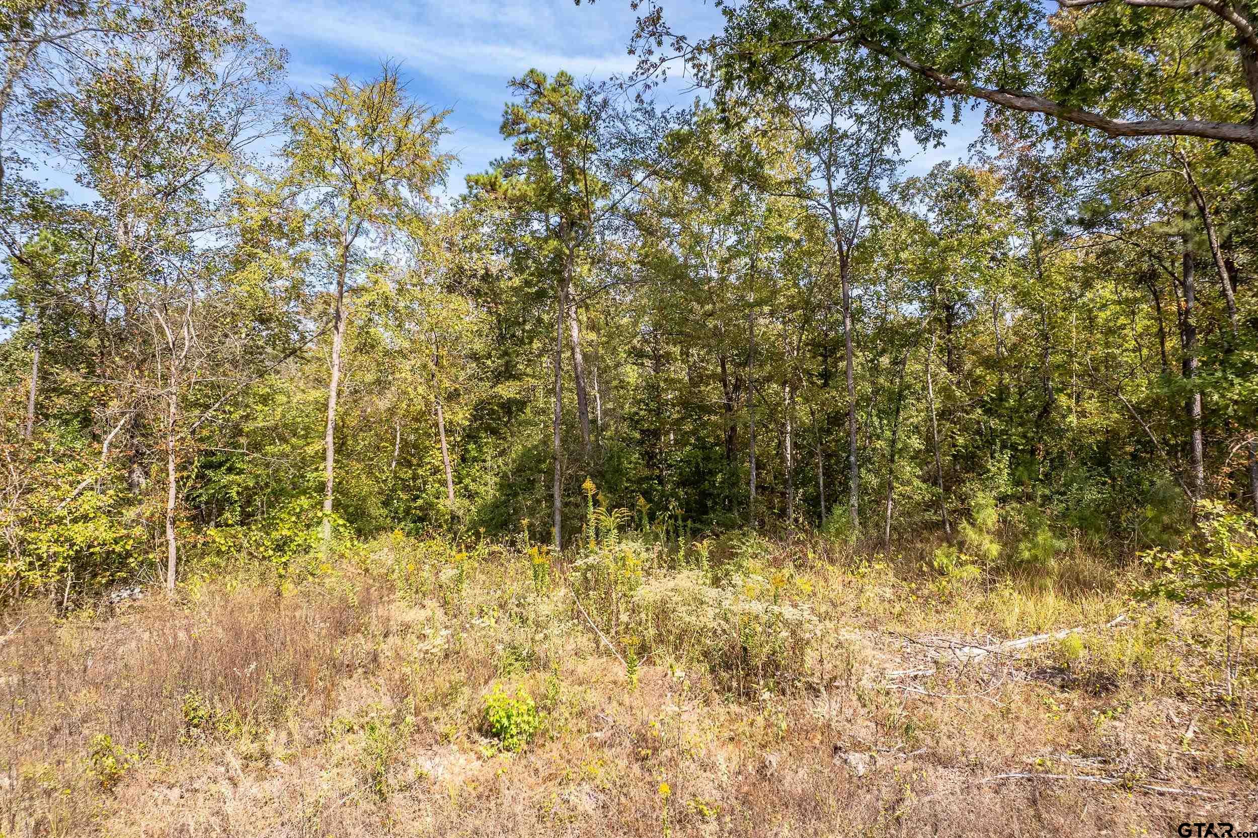 1305 Jackson Drive Rusk, TX 75785 - Photo 16 of 21 a view of a yard