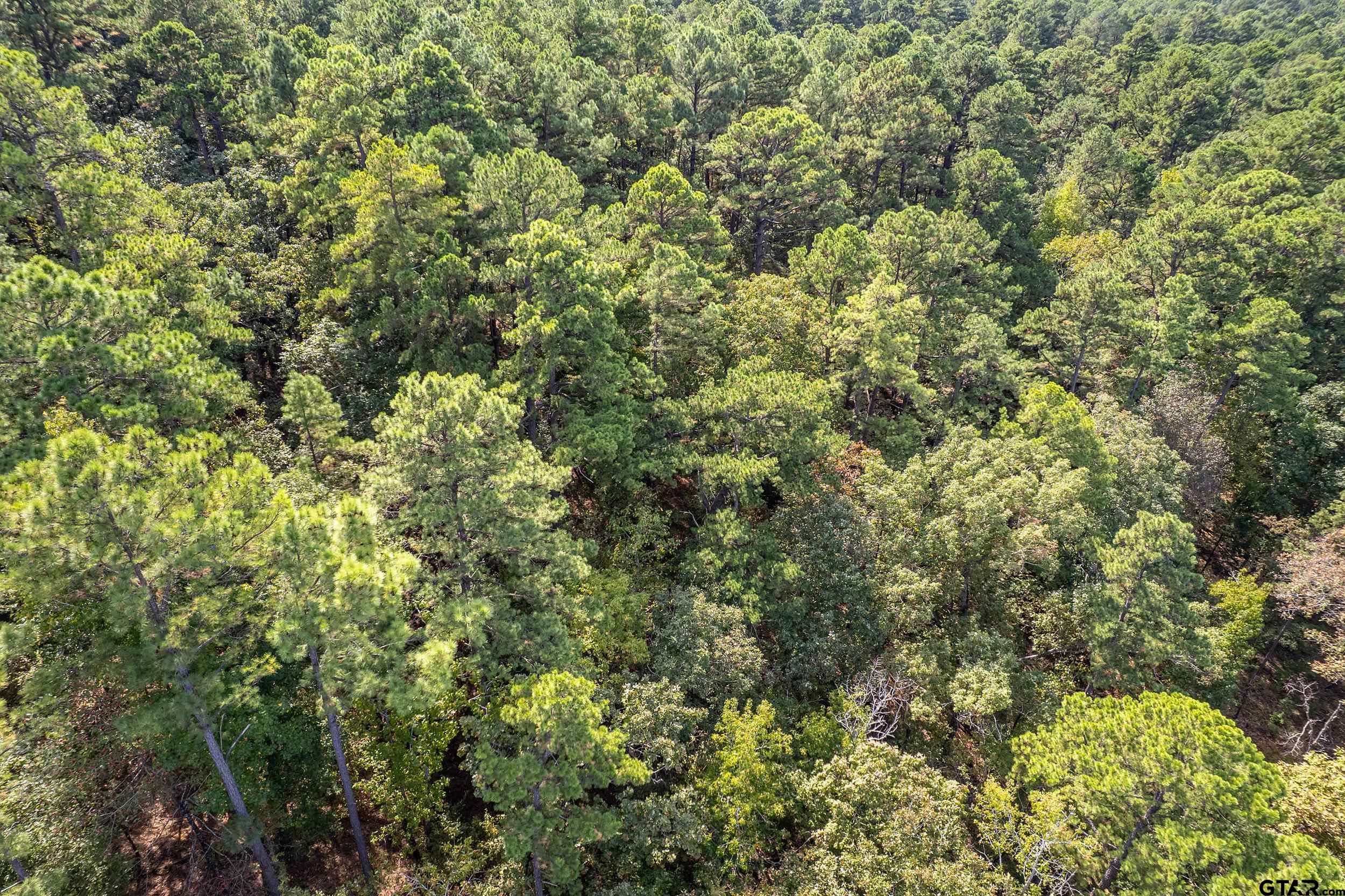 1305 Jackson Drive Rusk, TX 75785 - Photo 19 of 21