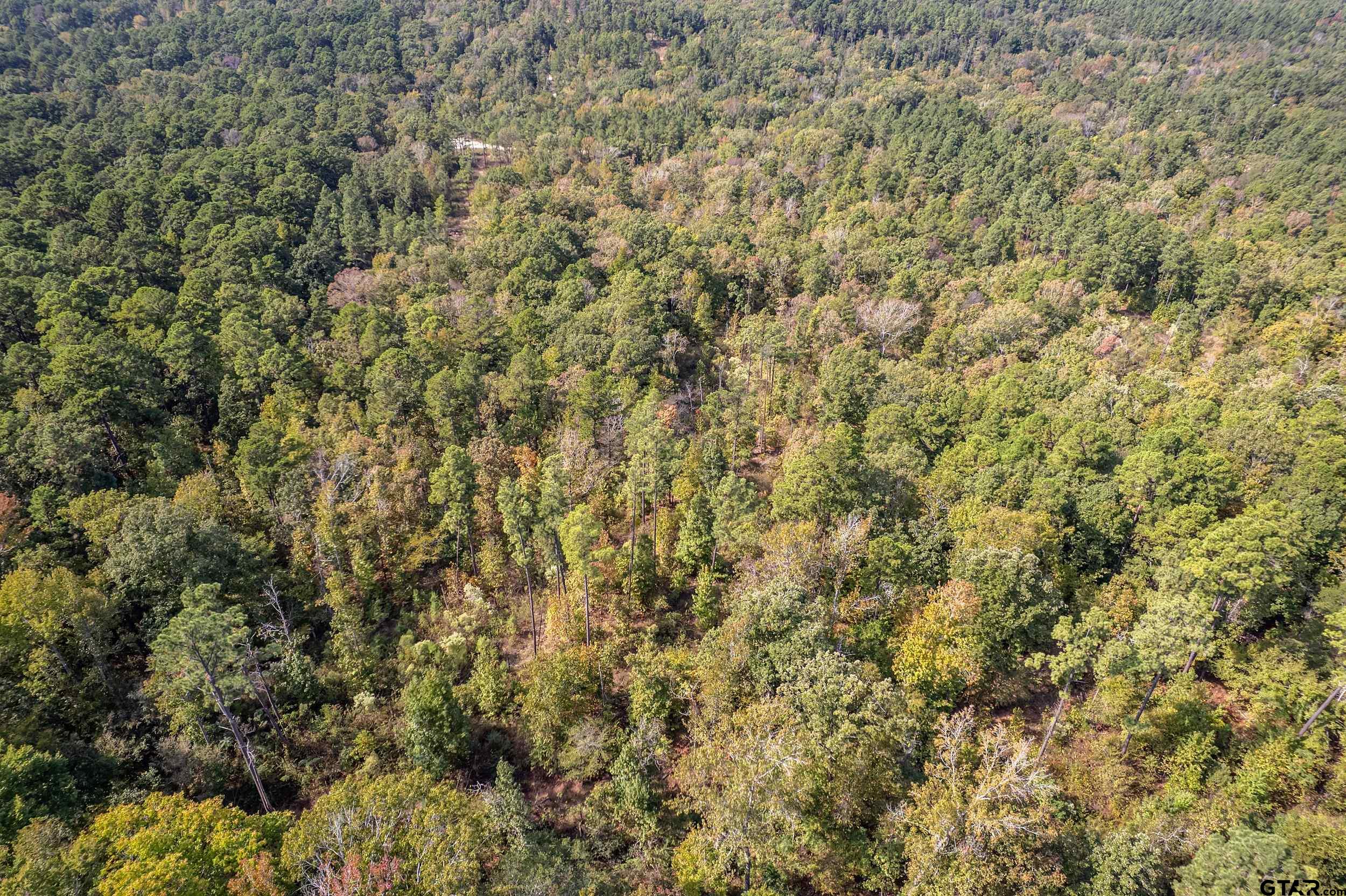 1305 Jackson Drive Rusk, TX 75785 - Photo 20 of 21