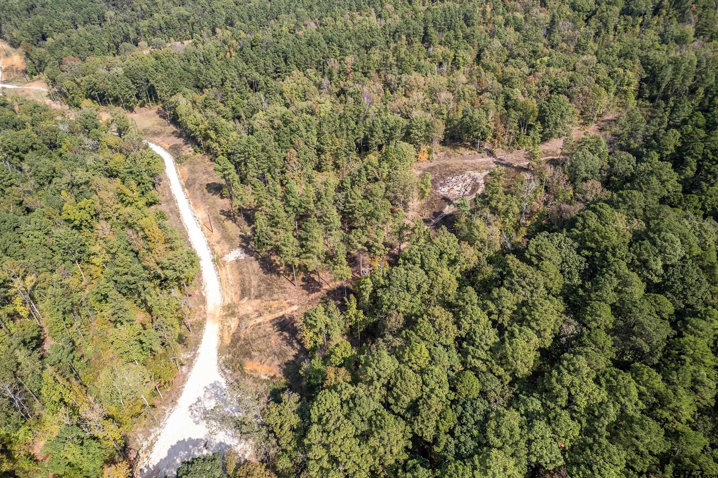 1305 Jackson Drive Rusk, TX 75785 - Photo 2 of 21 a view of a forest with a tree