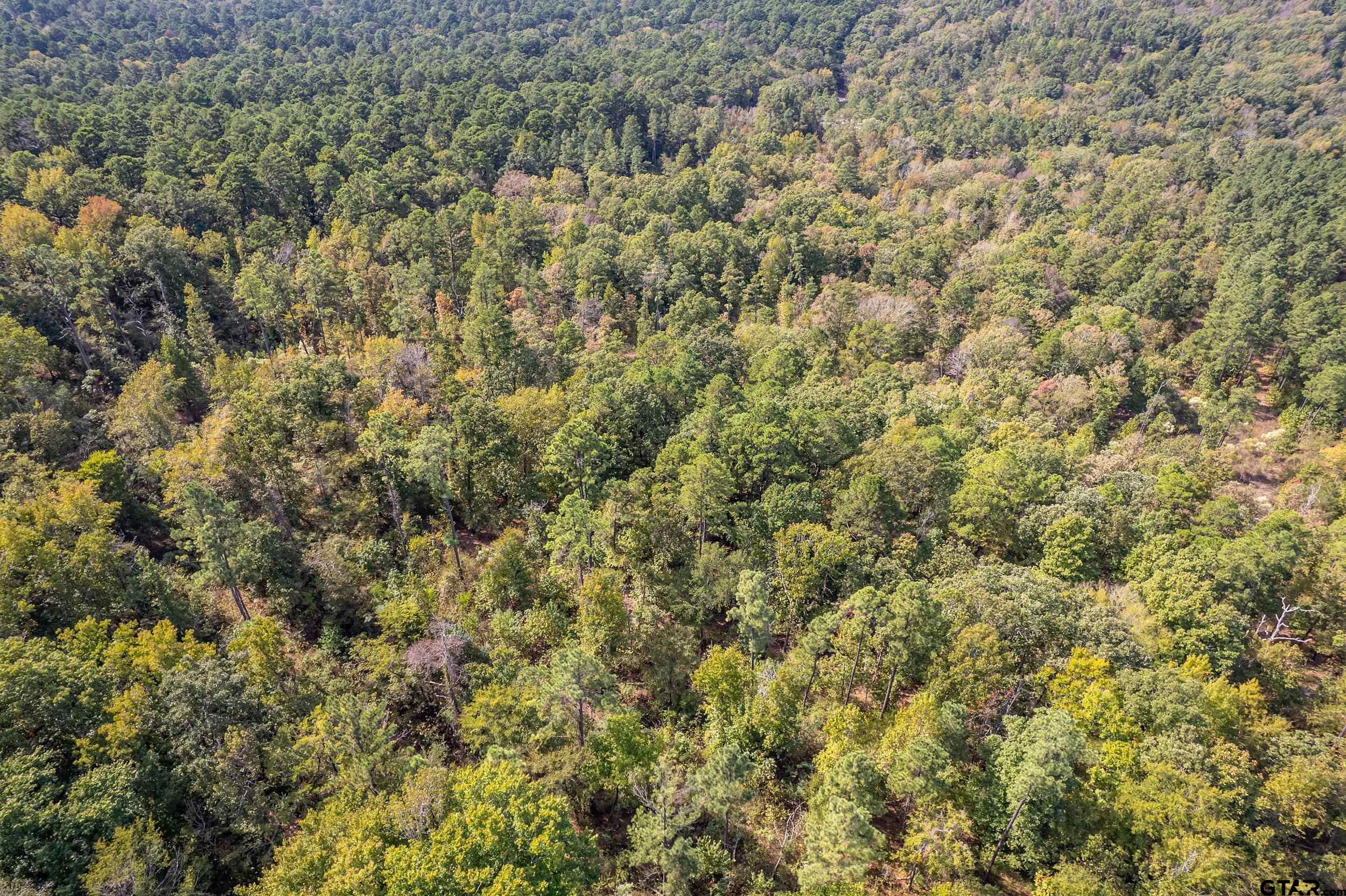 1305 Jackson Drive Rusk, TX 75785 - Photo 21 of 21 a view of a field