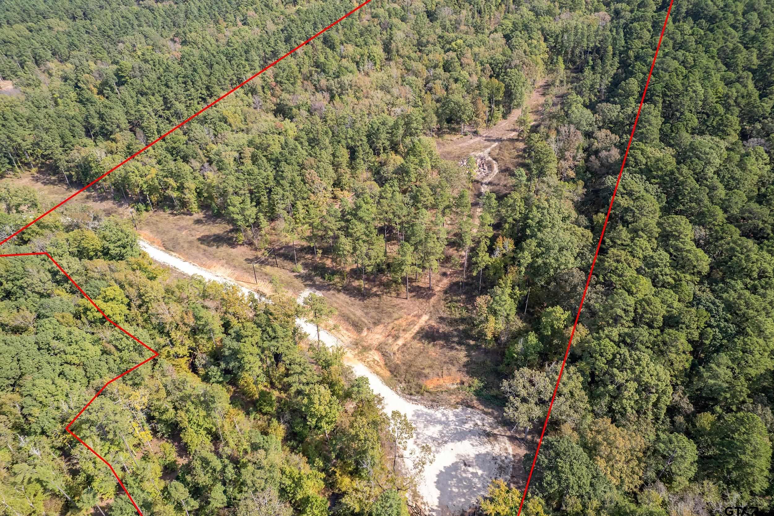 1305 Jackson Drive Rusk, TX 75785 - Photo 3 of 21 a view of a forest with a tree