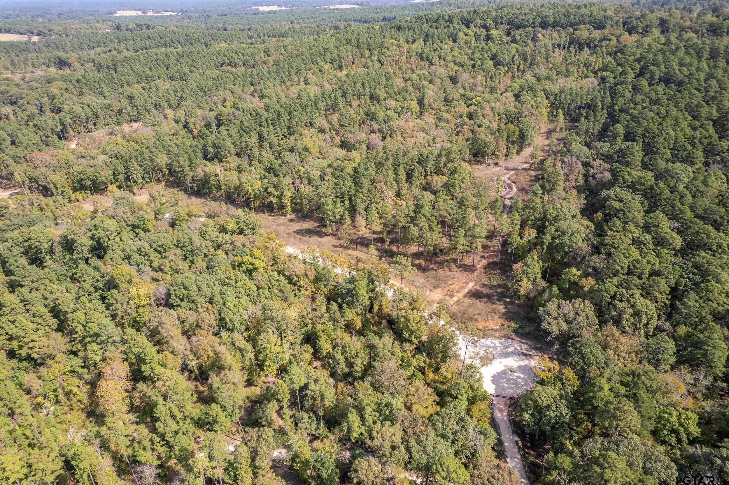1305 Jackson Drive Rusk, TX 75785 - Photo 4 of 21 a view of a field with an outdoor space