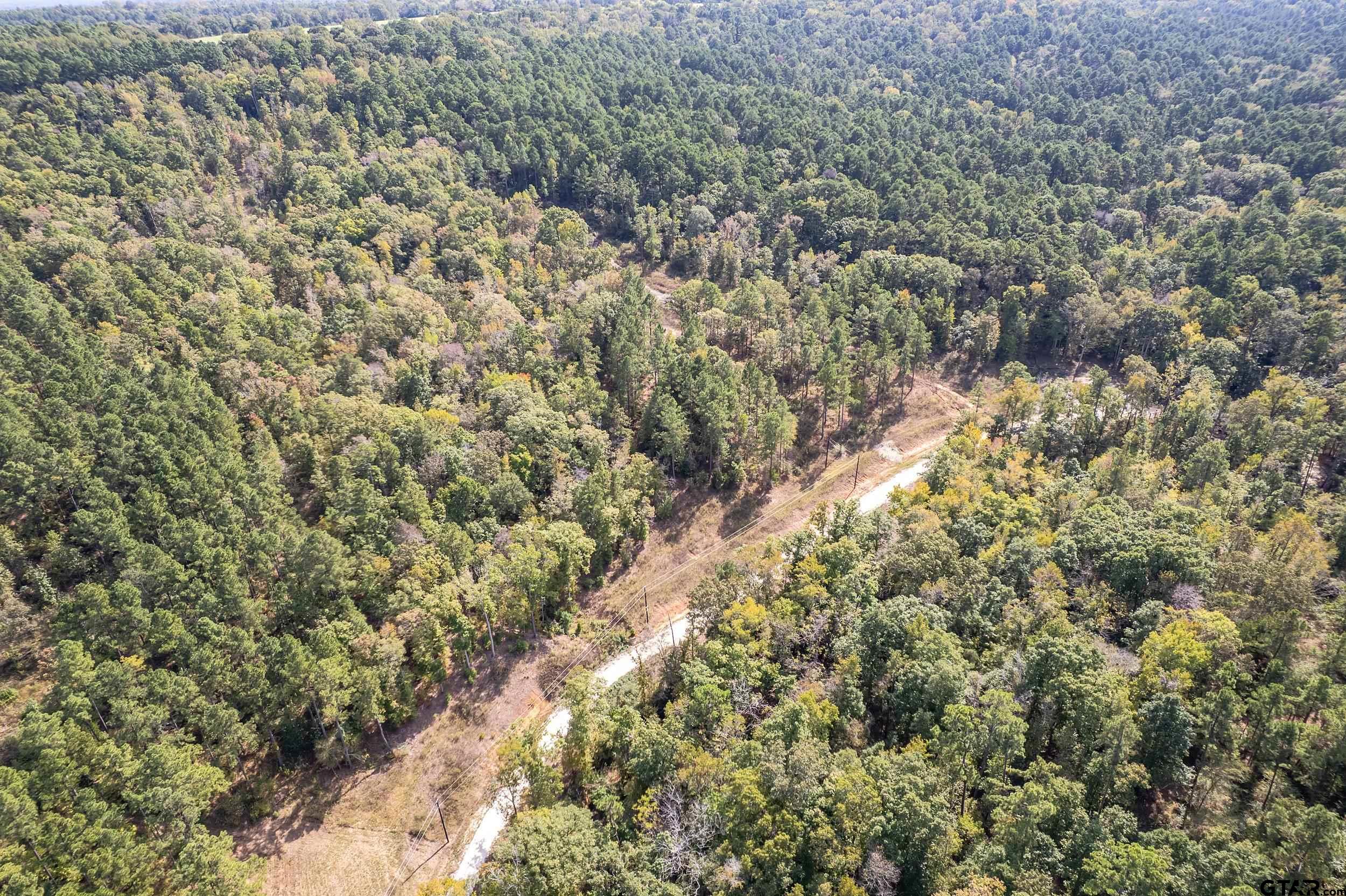 1305 Jackson Drive Rusk, TX 75785 - Photo 5 of 21 a view of a yard with a tree