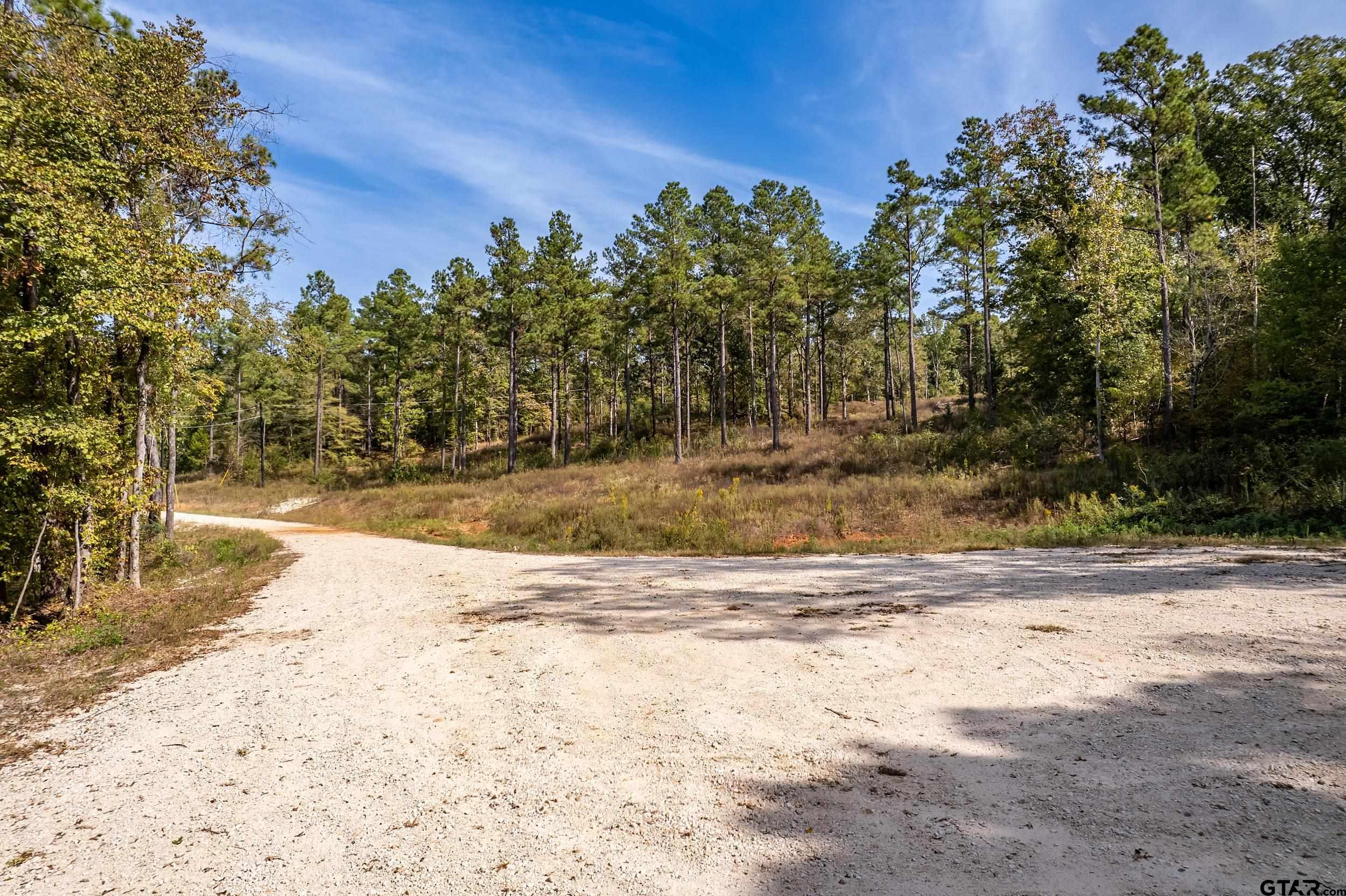 1305 Jackson Drive Rusk, TX 75785 - Photo 7 of 21 a view of a yard with a tree