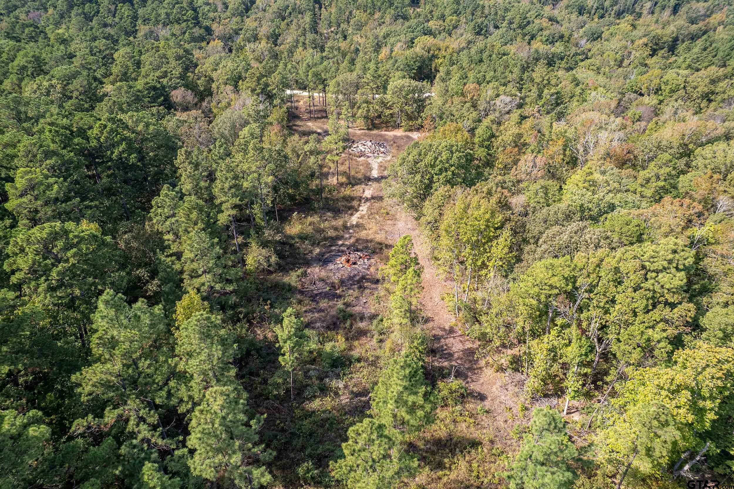1305 Jackson Drive Rusk, TX 75785 - Photo 8 of 21 a view of a trees