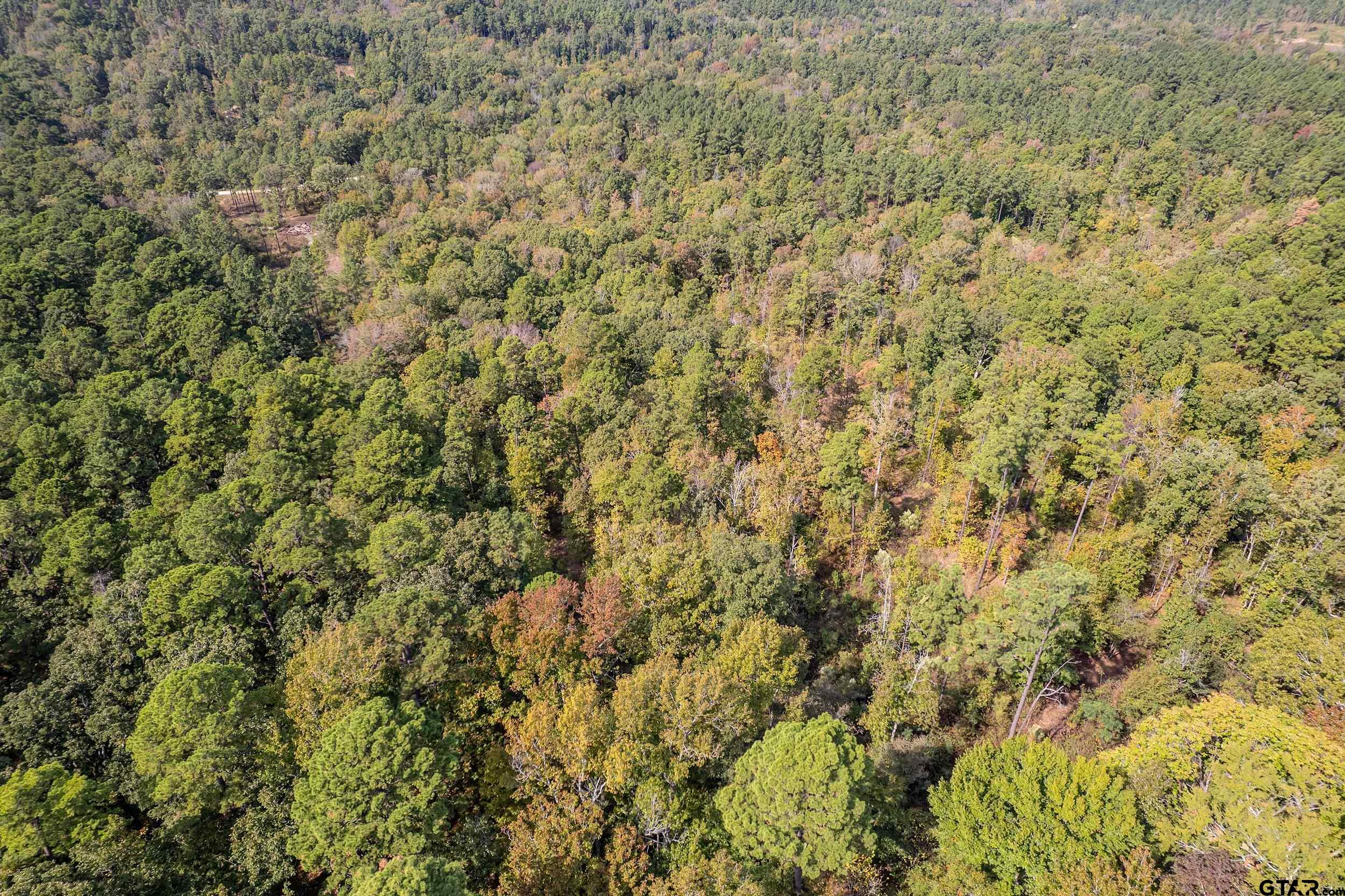 1305 Jackson Drive Rusk, TX 75785 - Photo 9 of 21 a view of a field