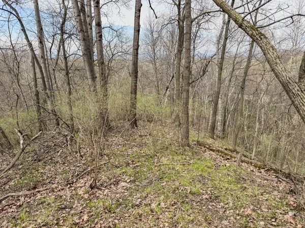 $700,000 | 715 Alpine Lane, Holmen, WI 54636