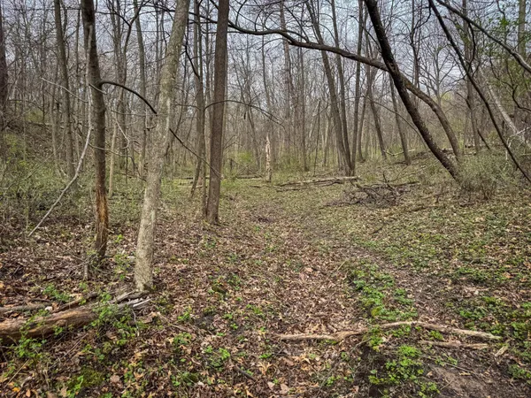 $700,000 | 715 Alpine Lane, Holmen, WI 54636