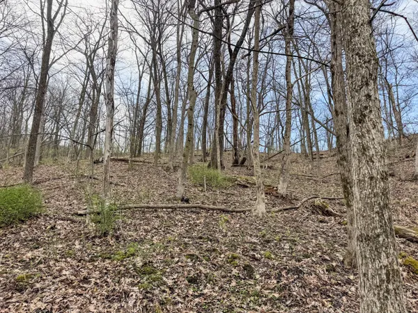 $700,000 | 715 Alpine Lane, Holmen, WI 54636