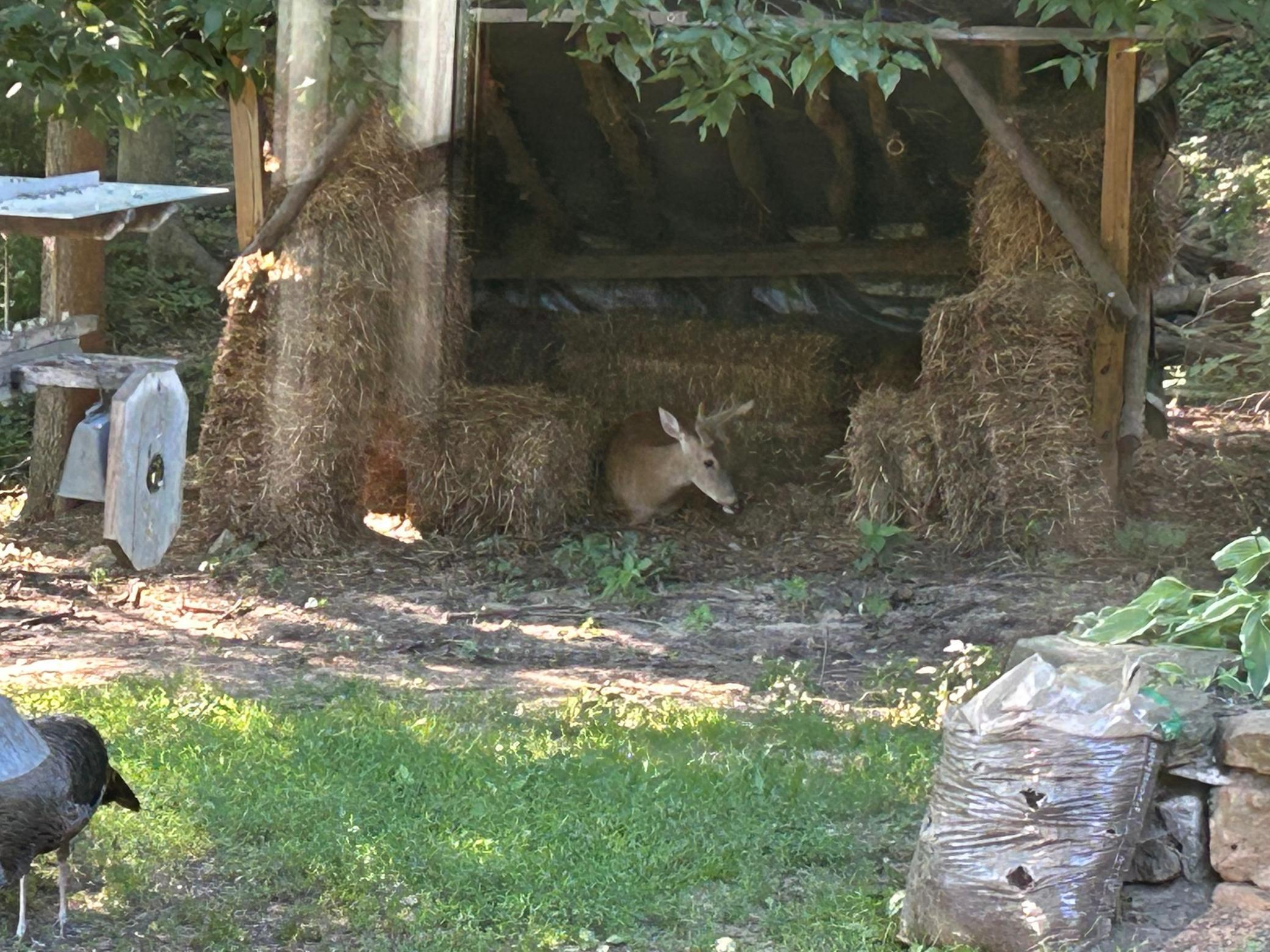 715 Alpine Lane Holmen, WI 54636 - Photo 51 of 58