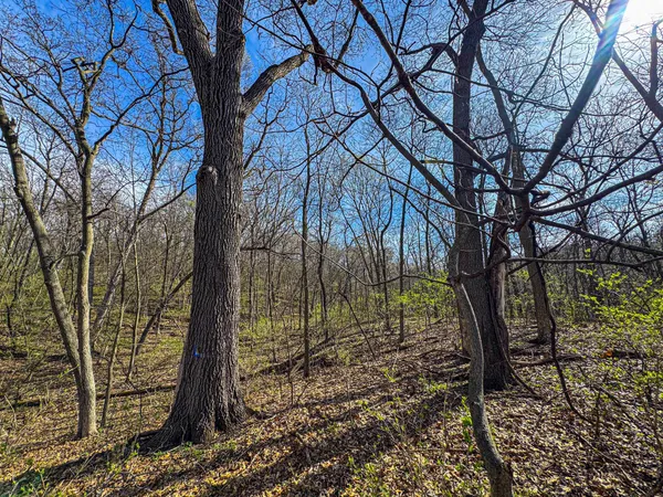 $700,000 | 715 Alpine Lane, Holmen, WI 54636