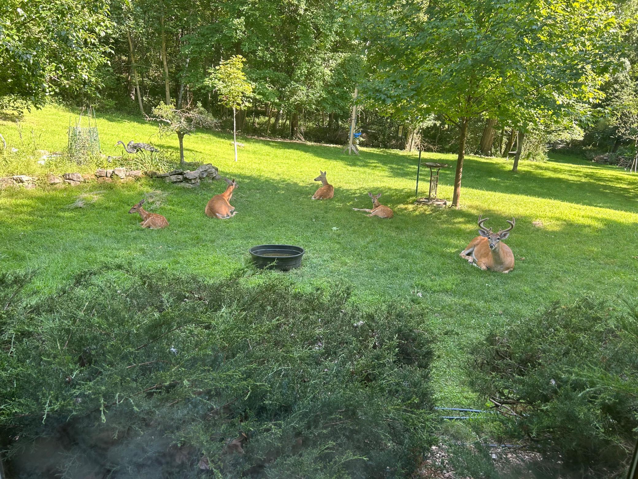 715 Alpine Lane Holmen, WI 54636 - Photo 7 of 58