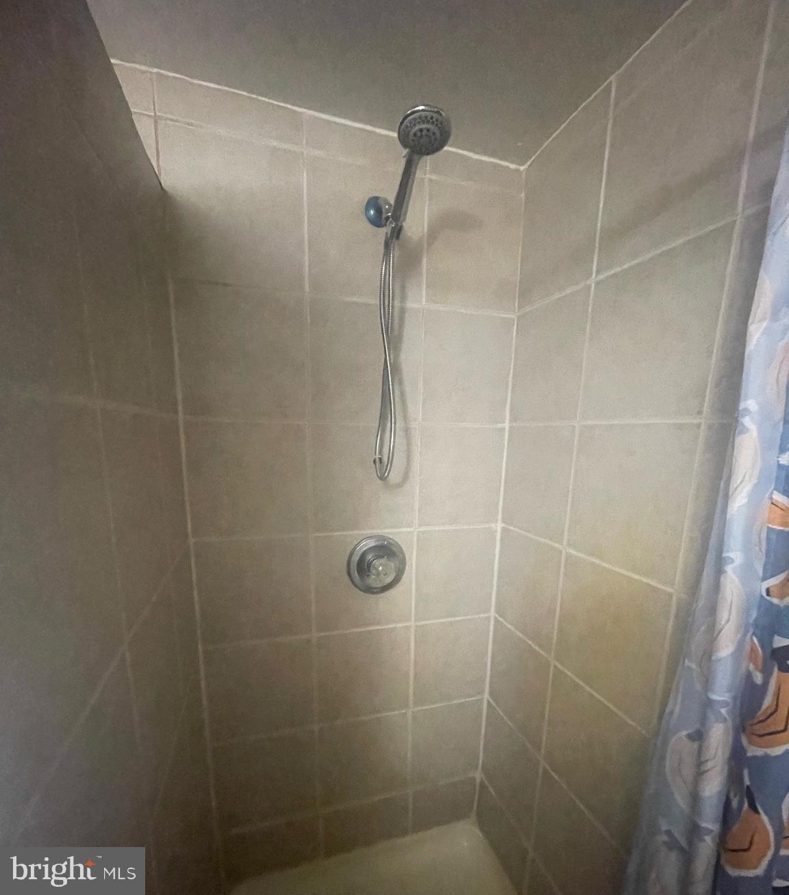 5455 Mason Springs Road, Unit D Indian Head, MD 20640 - Photo 6 of 9 a bathroom with a shower