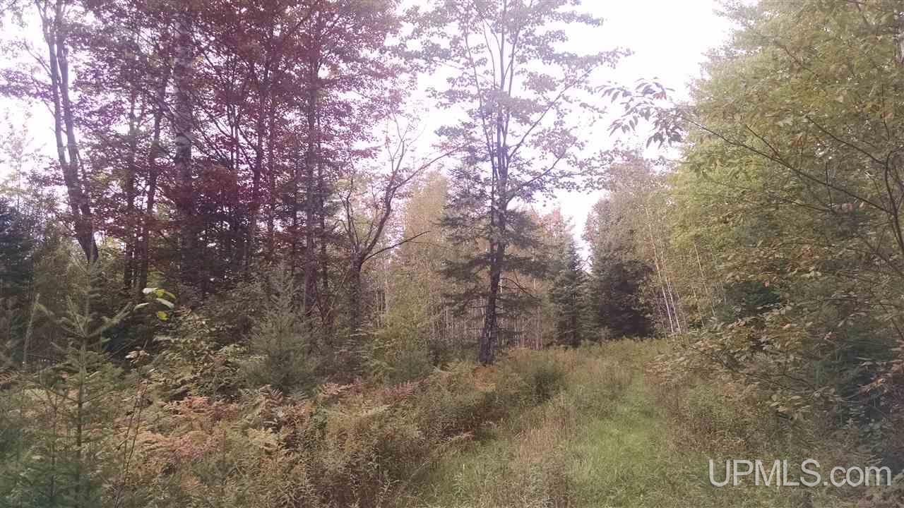 Tbd 51 A Winters Road Trenary, MI 49891 - Photo 7 of 9