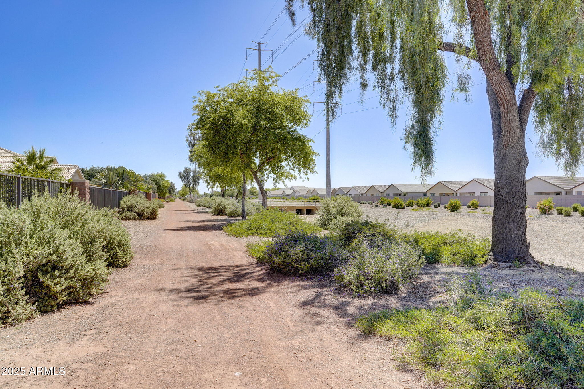9843 West Albeniz Place Tolleson, AZ 85353 - Photo 13 of 18 a view of a yard with plants and trees