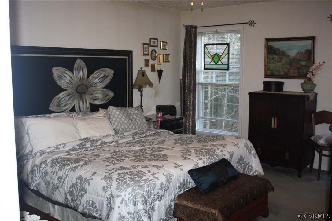 13377 Spring Road Montpelier, VA 23192 - Photo 15 of 29 Gallery Image 15
