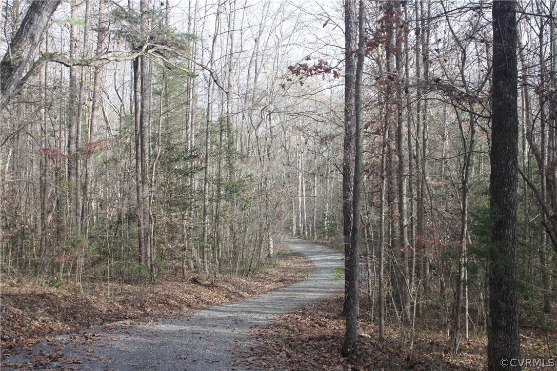13377 Spring Road Montpelier, VA 23192 - Photo 6 of 29 Gallery Image 6