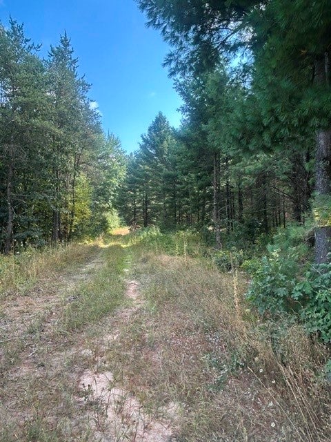 N12669 Monthei Road Alma Center, WI 54611 - Photo 6 of 21 Gallery Image 6