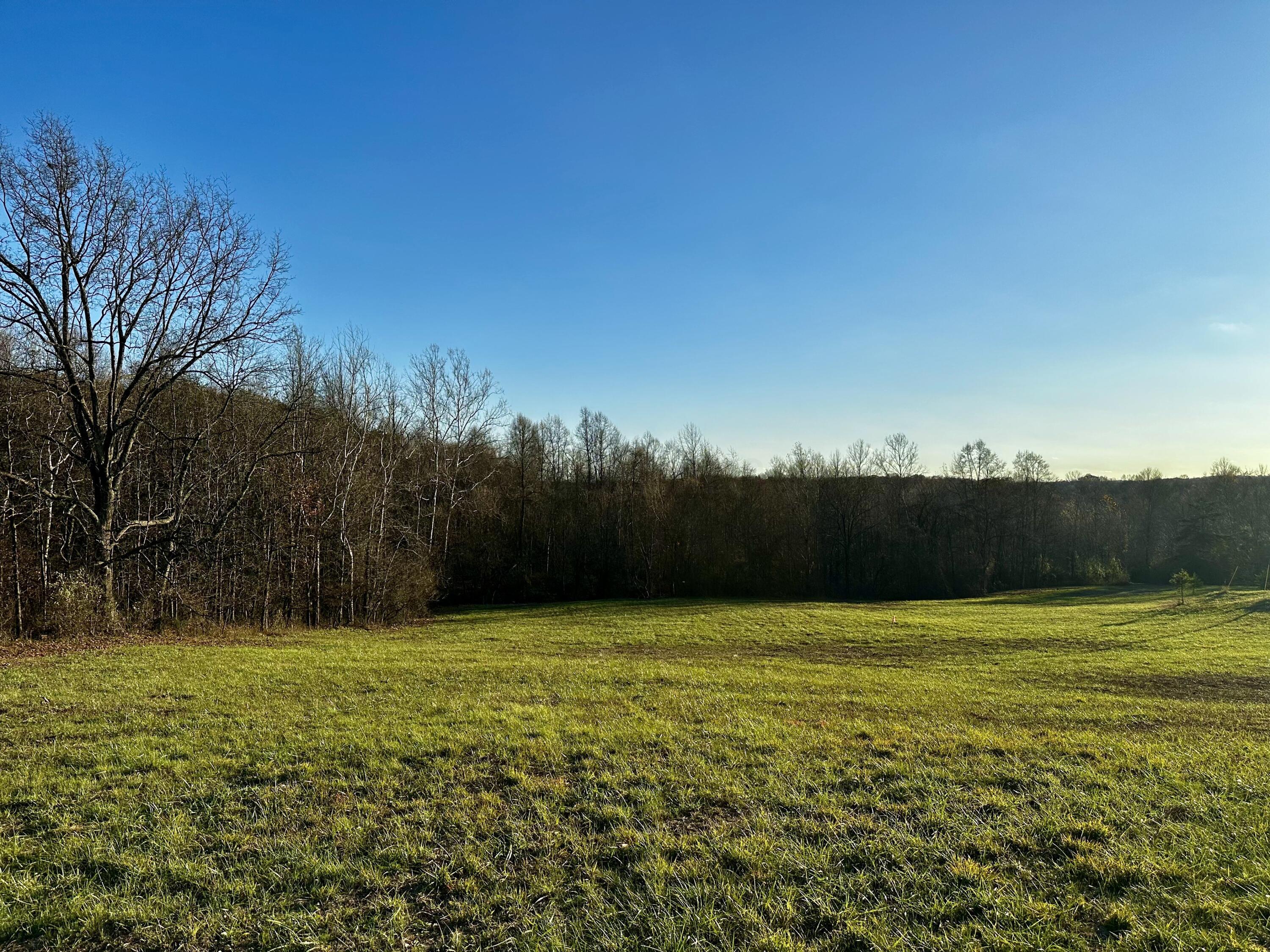 7342 Dutch Ridge Road, Unit TRACT 1 AT DUTCH RIDGE) New Straitsville, OH 43766 - Photo 1 of 45 1