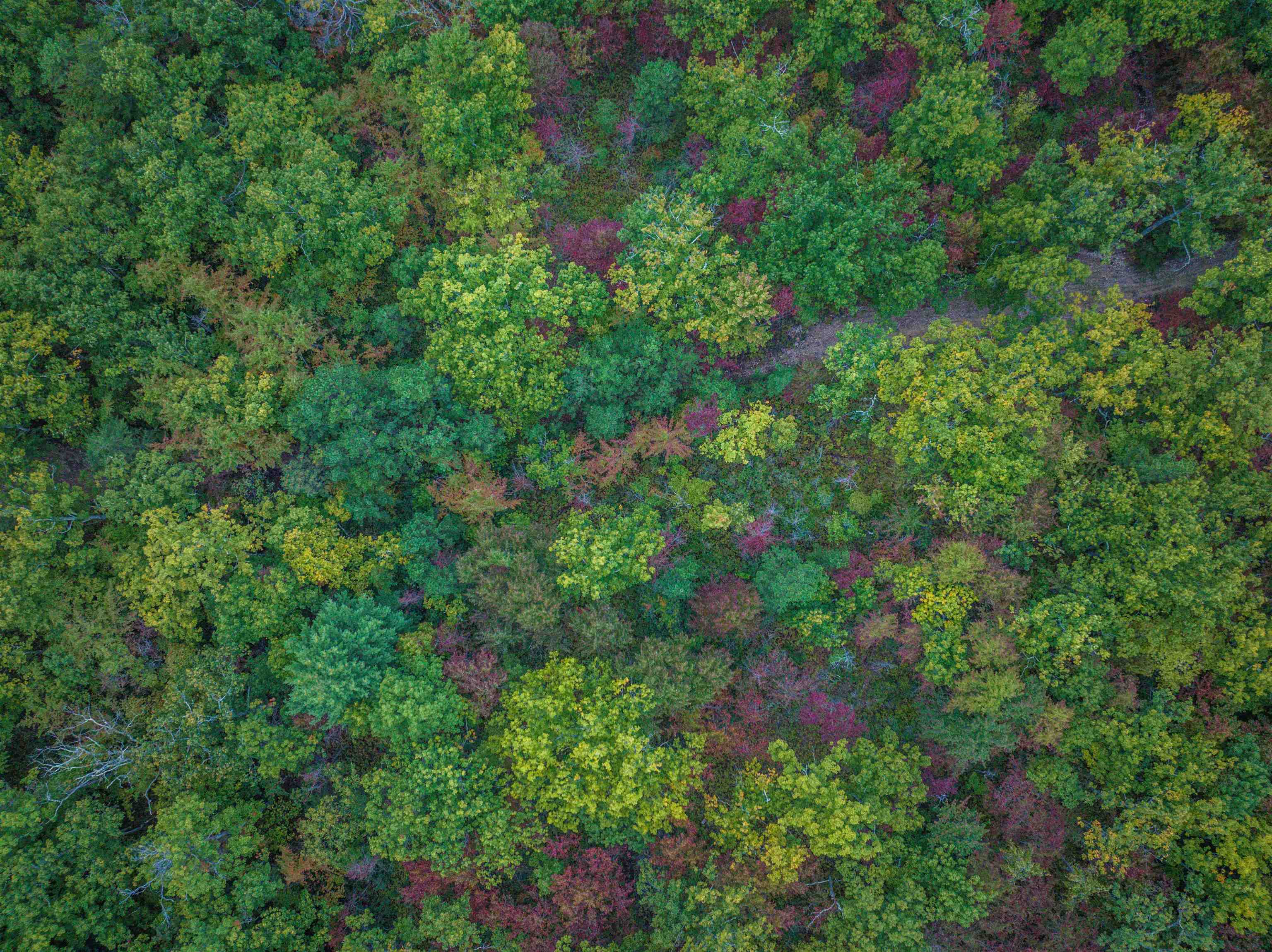 Tbd Horsehead Road Grottoes, VA 24441 - Photo 11 of 33 Gallery Image 11