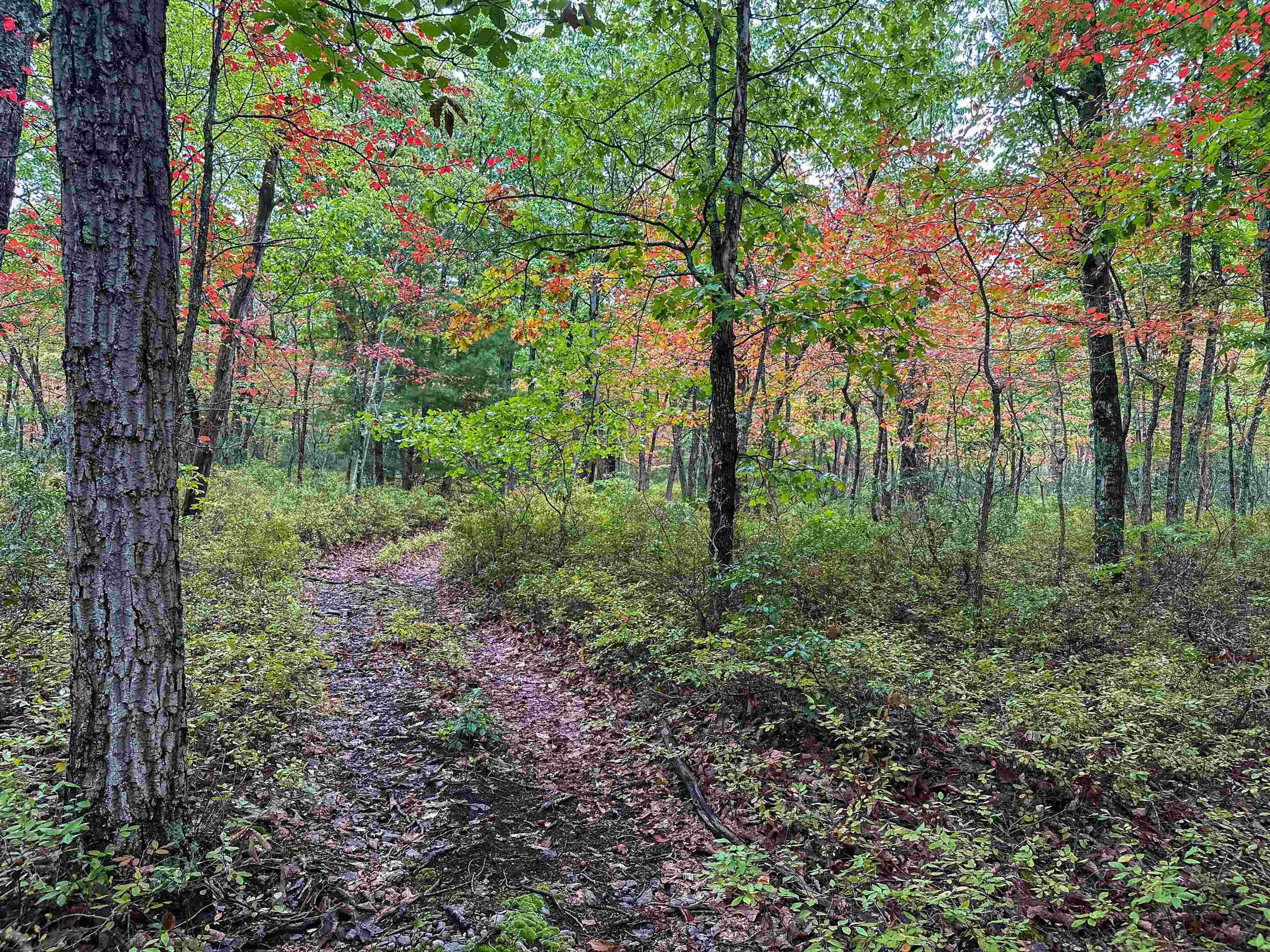 Tbd Horsehead Road Grottoes, VA 24441 - Photo 22 of 33 Gallery Image 22