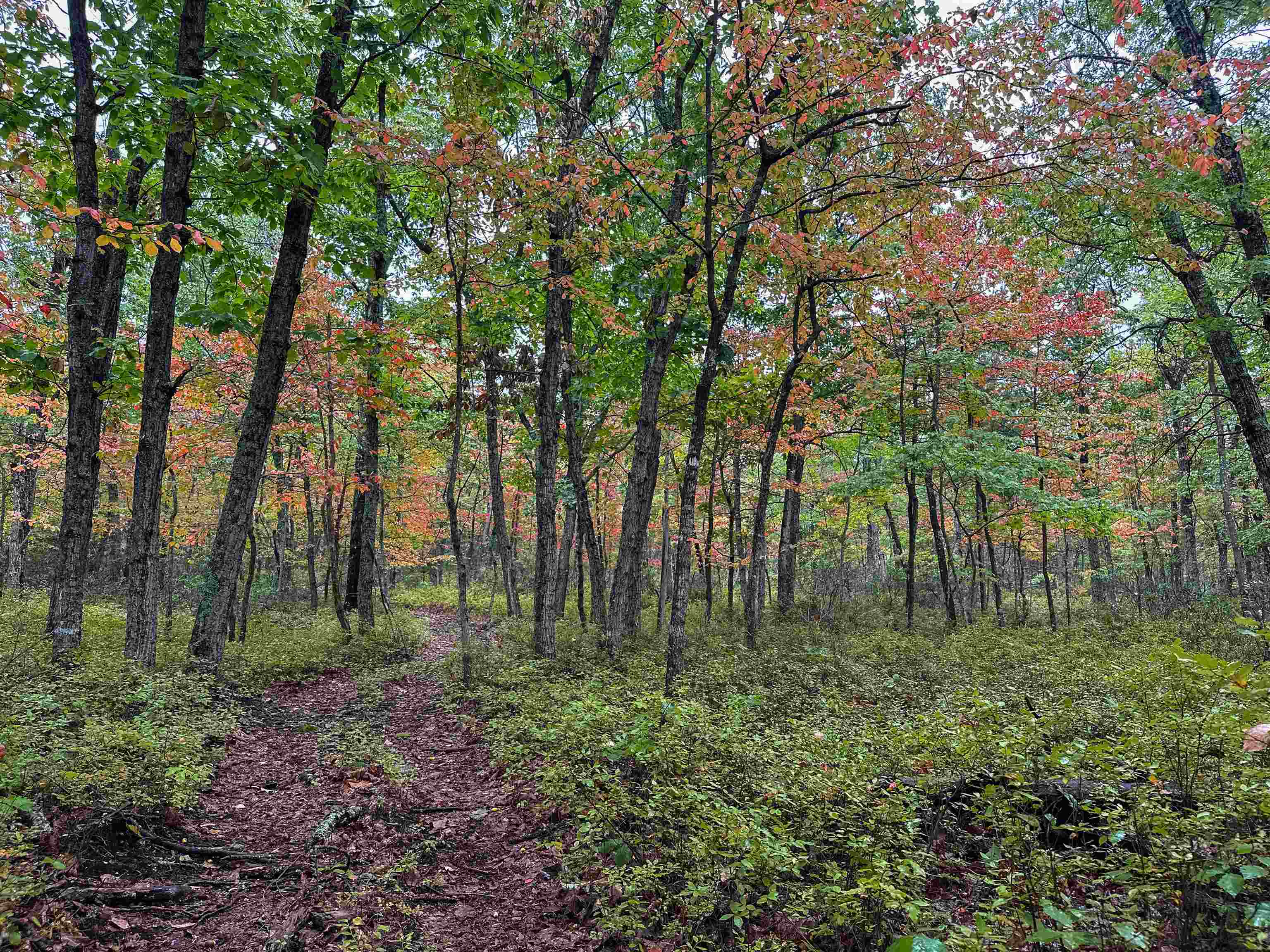 Tbd Horsehead Road Grottoes, VA 24441 - Photo 23 of 33 Gallery Image 23