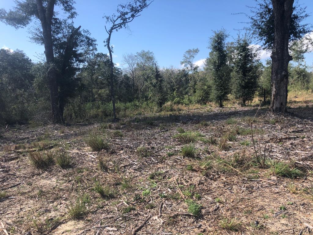 Undisclosed Address Samson, AL 36477 - Photo 22 of 39