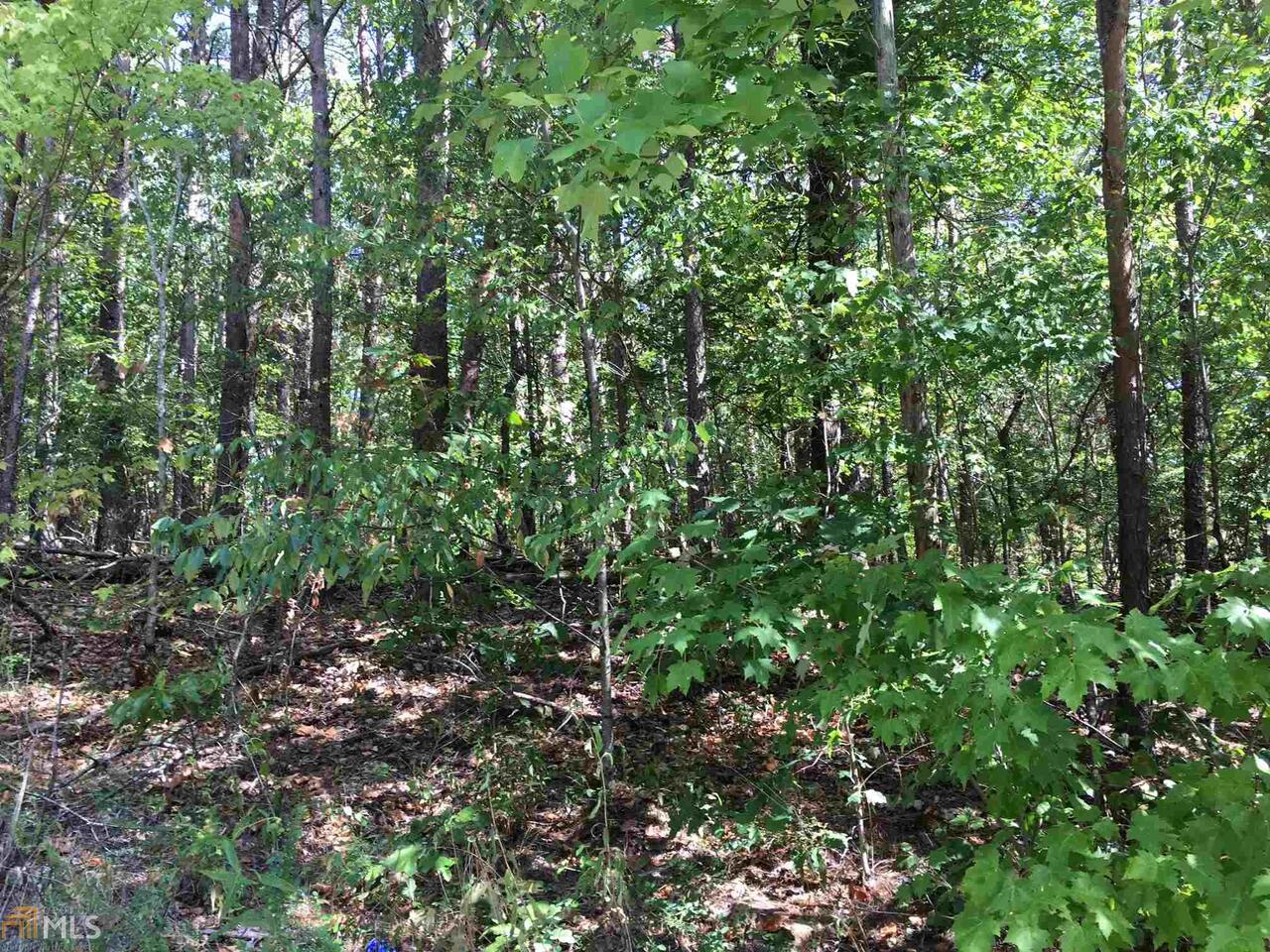 0 Henderson Mountain Road, Unit 21 Jasper, GA 30143 - Photo 1 of 1