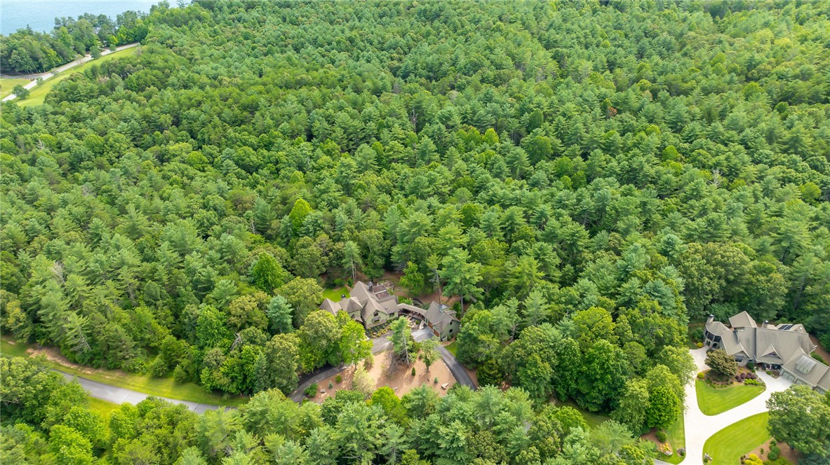 211 Vineyard Park Sunset, SC 29685 - Photo 47 of 50