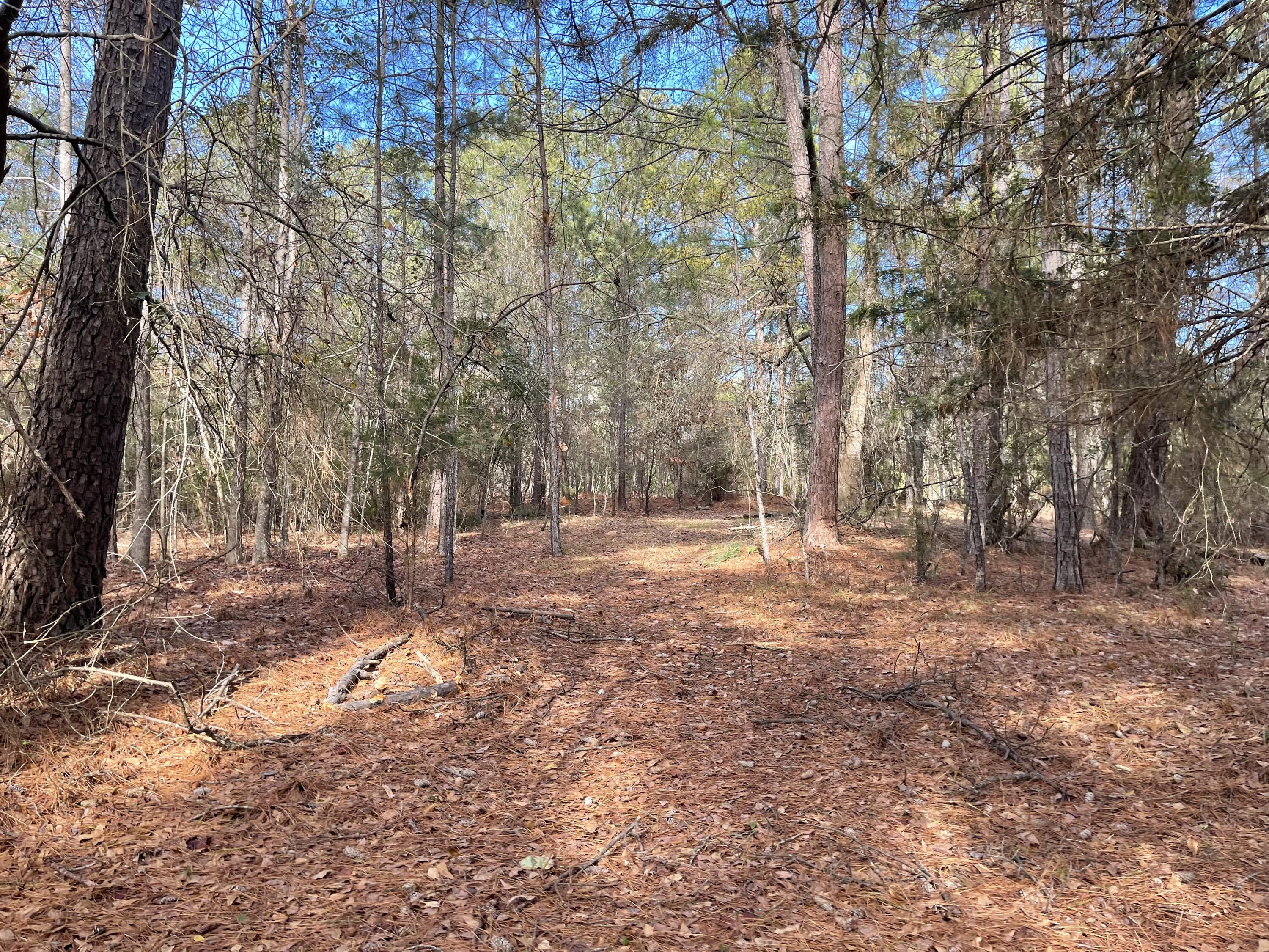 6268 Ridge Road Appling, GA 30802 - Photo 5 of 7 IMG_2292