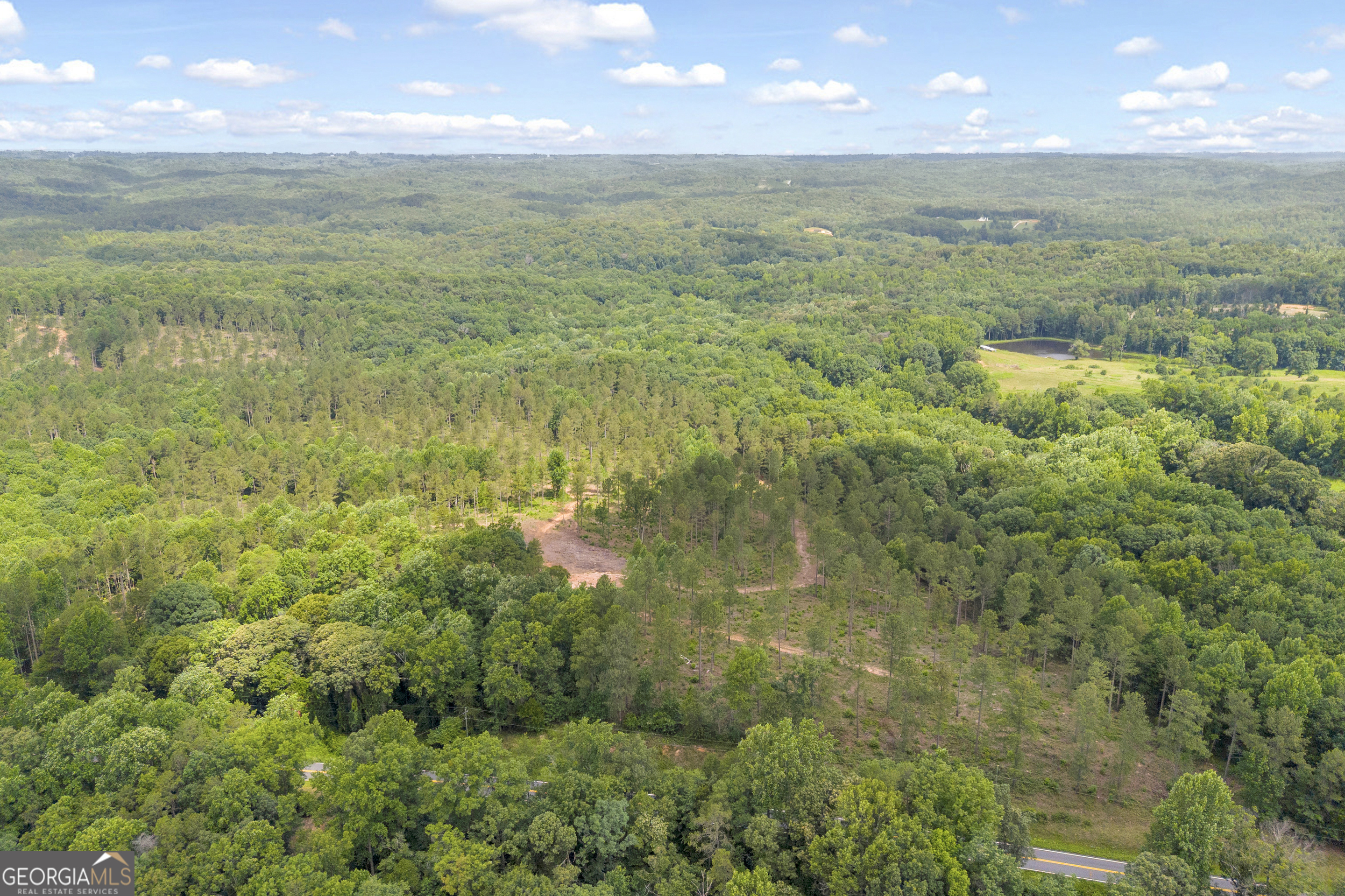 0 Mt Sinai Road, Unit LOT 1 Lula, GA 30554 - Photo 20 of 67