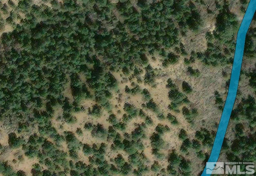 570 Phoenix Road Reno, NV 89521 - Photo 17 of 40 a view of a forest with a tree