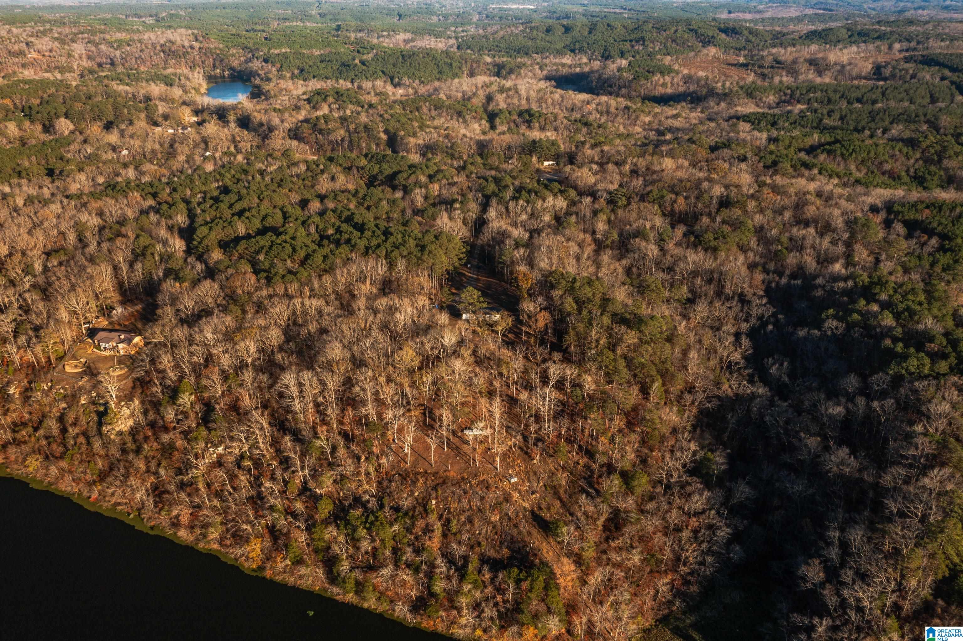 191 Warrior River Highlands Road Adger, AL 35006 - Photo 71 of 81