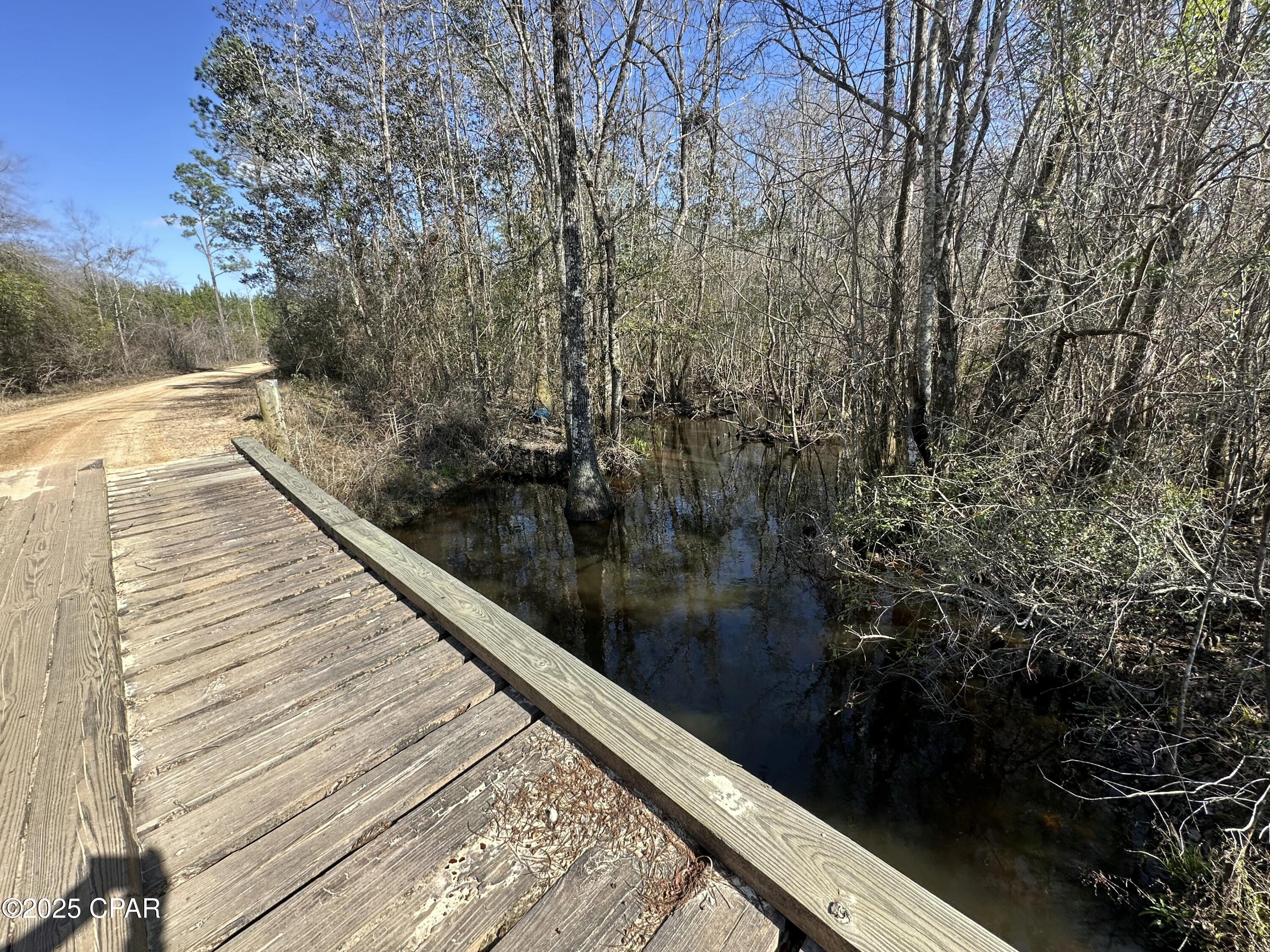 Tract#6317 Harris Stevenson Road Bonifay, FL 32425 - Photo 12 of 17